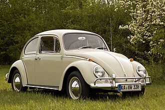 Beetle photograph