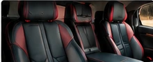 Custom Seats